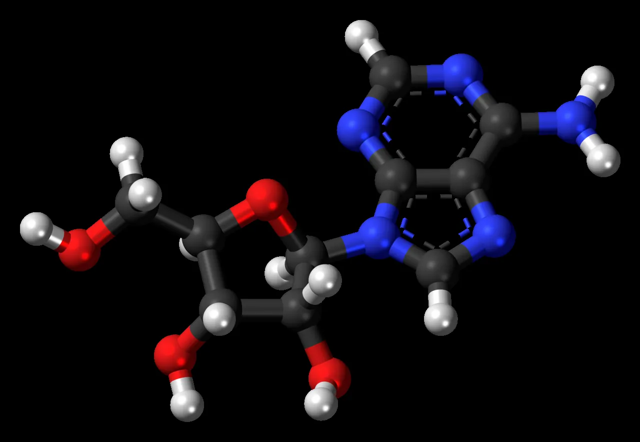 A 3D ball-and-stick model of the adenosine molecule