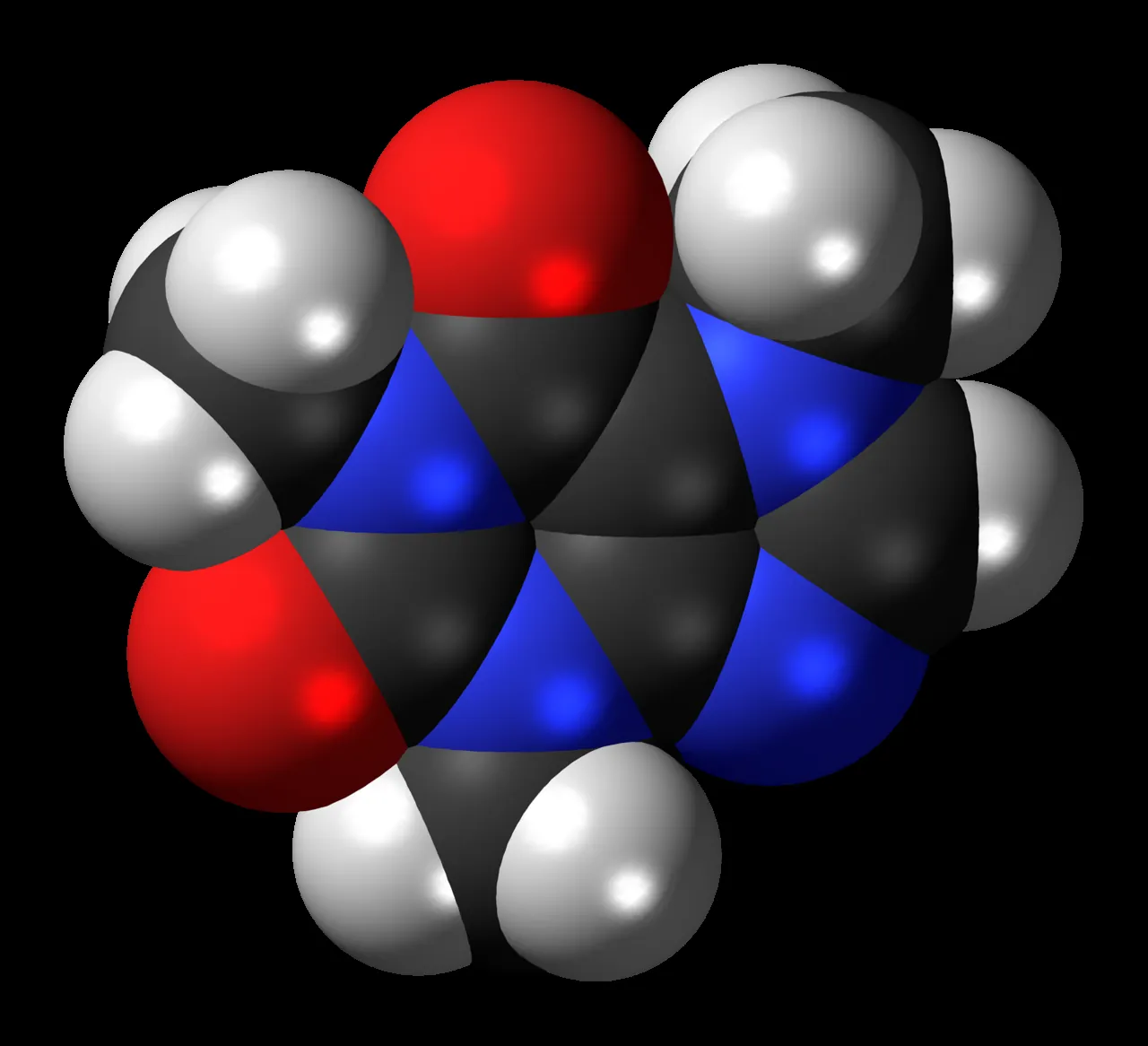 A space-filling model of the caffeine molecule, with carbon in black, hydrogen in white, oxygen in red and nitrogen in blue