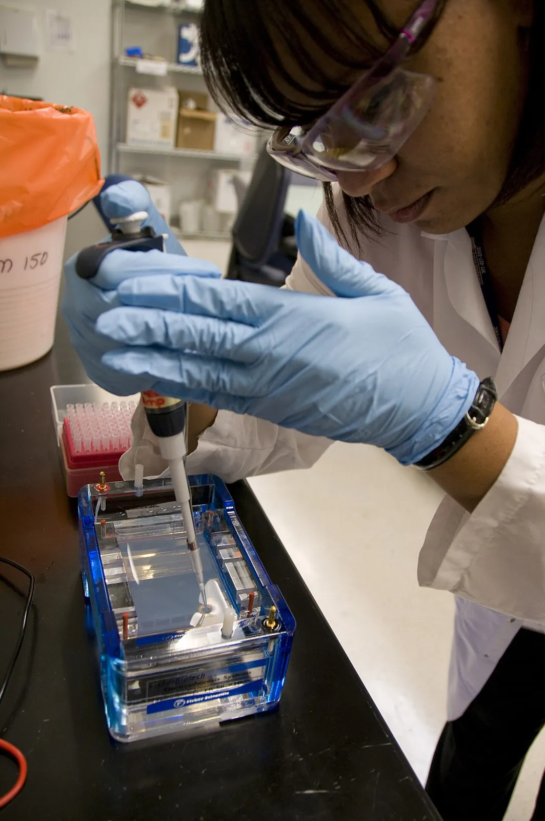 A scientist preparing DNA samples for testing