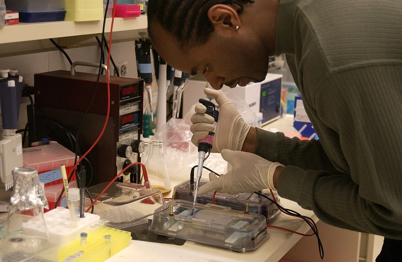 A scientist loading DNA samples into a gel to test them