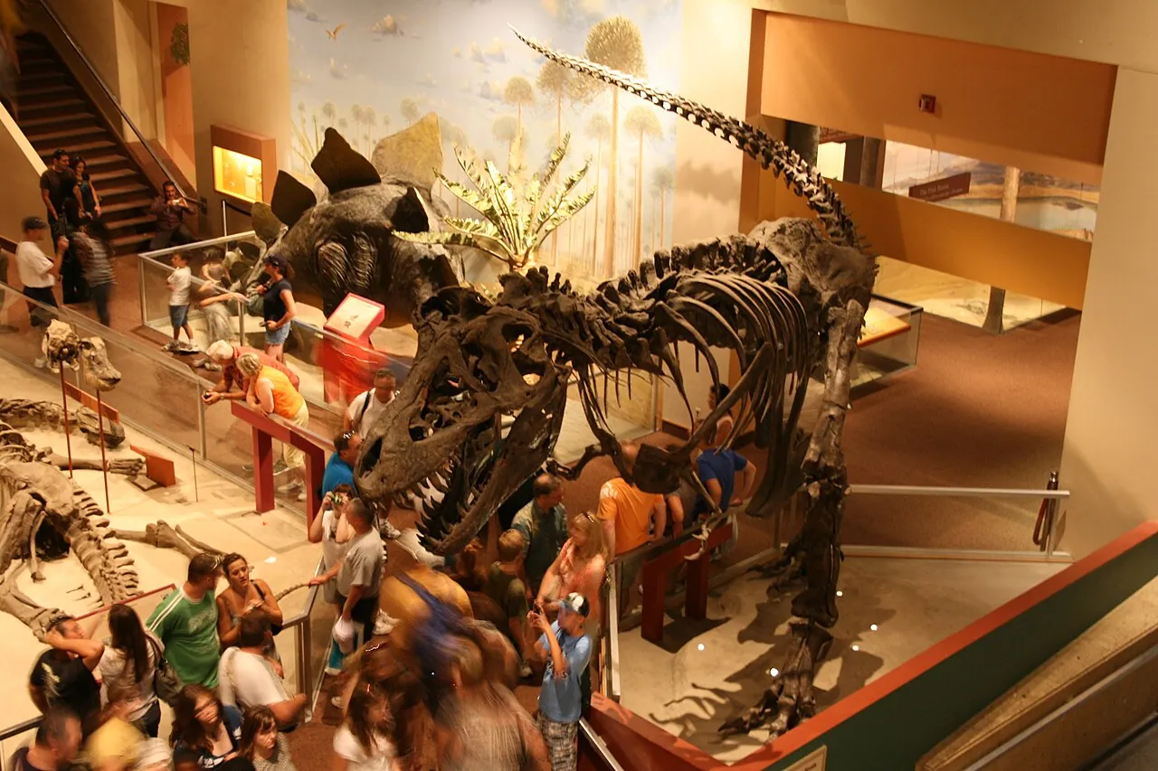 A Tyrannosaurus rex skeleton at the Smithsonian