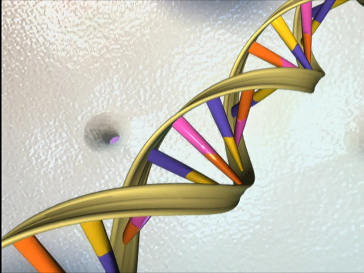 A drawing of a DNA double helix