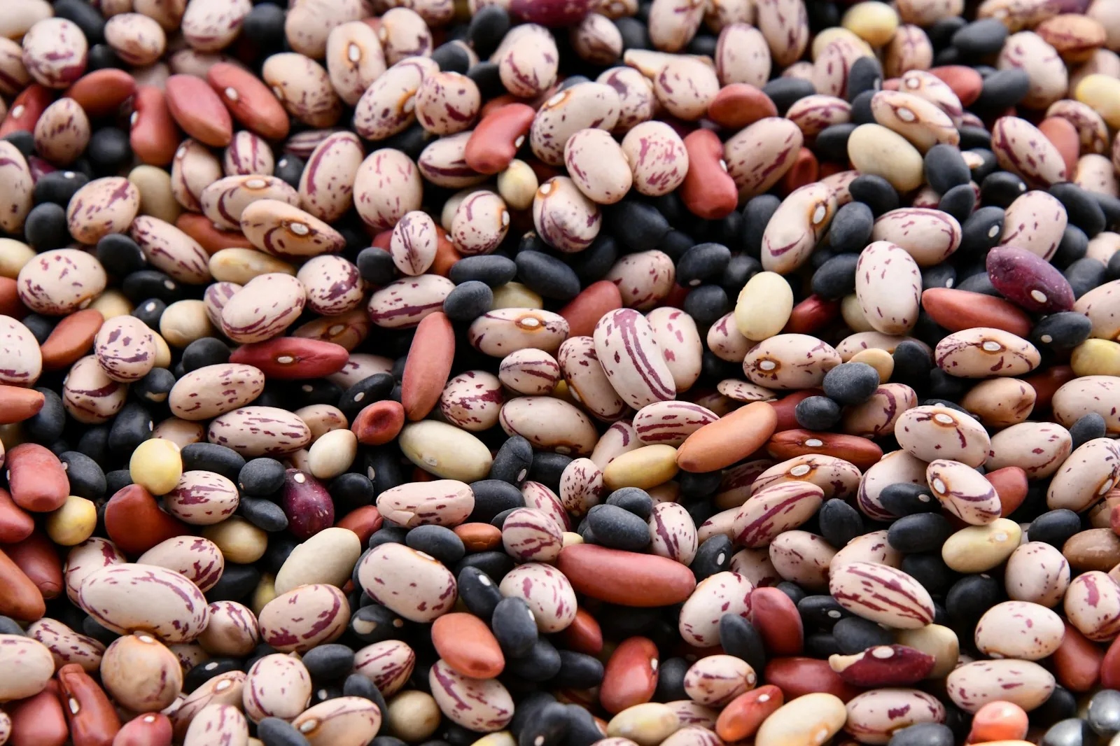 Dried beans in many colors at a farmers market