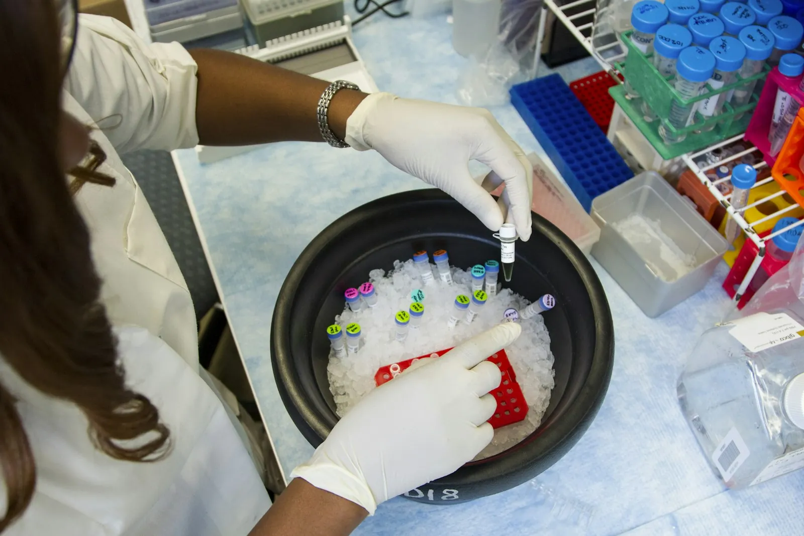 Scientist in a lab coat and gloves pipetting genetic samples into small tubes to set up a DNA copying test called PCR