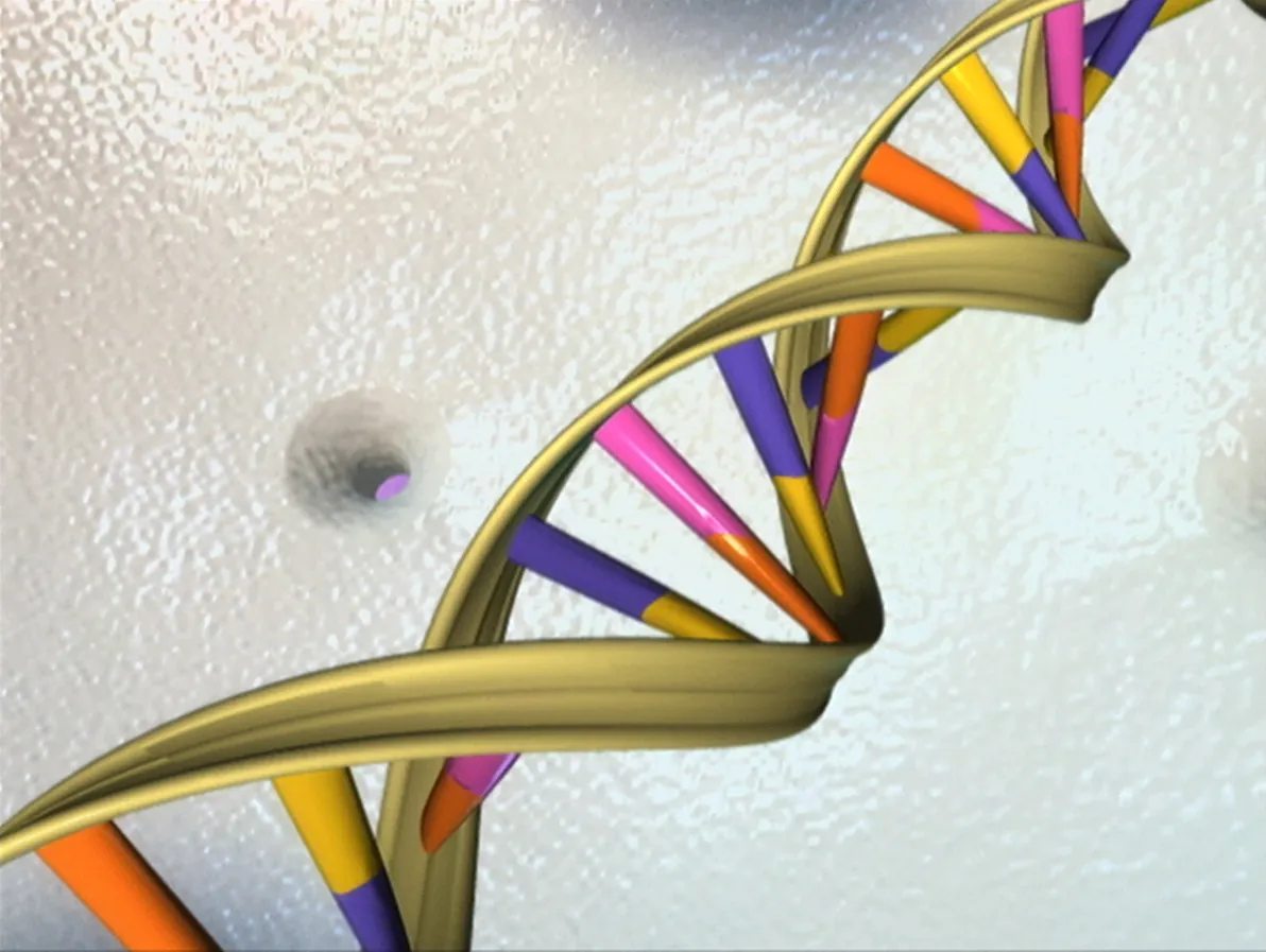 Scientific illustration of the DNA double helix: two twisting backbones joined by paired bases like the rungs of a ladder