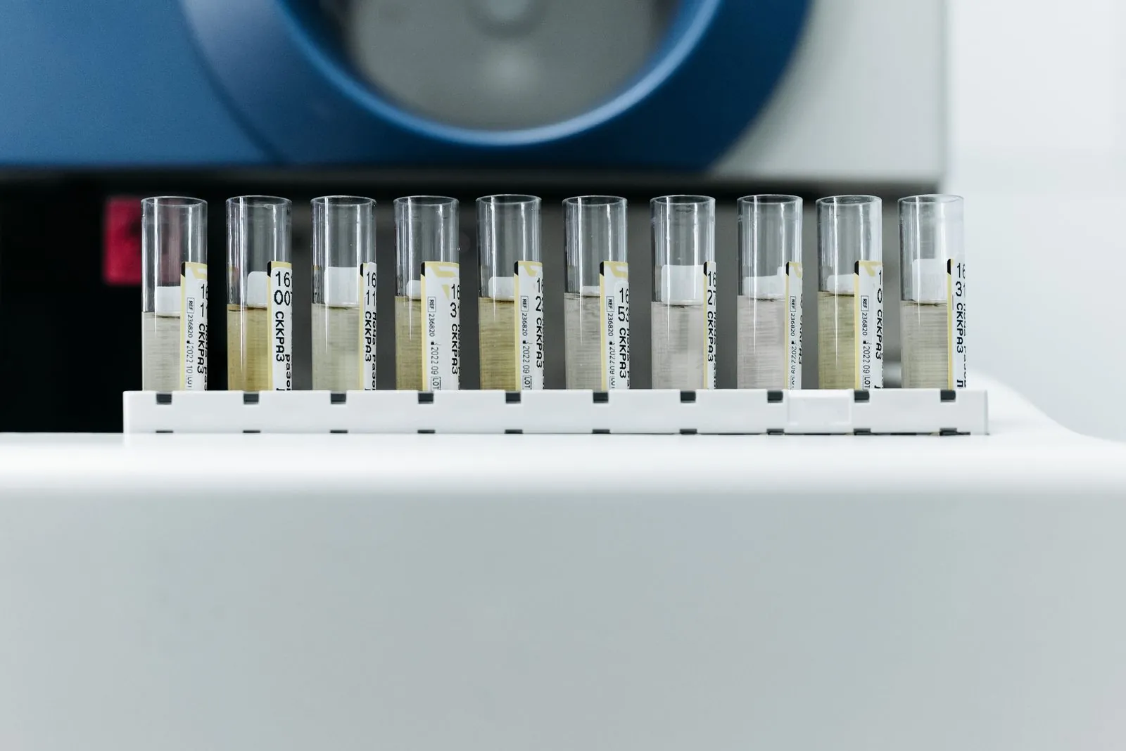 A row of labeled test tubes in a rack in a lab