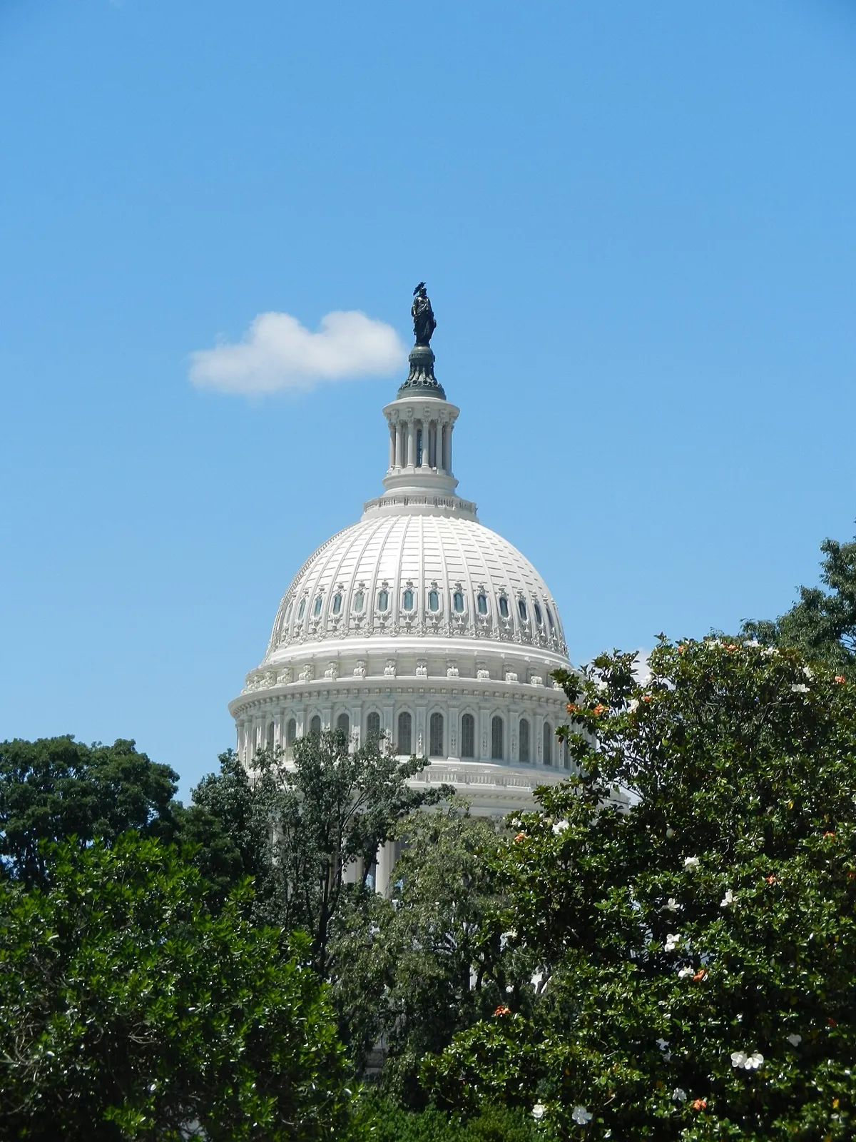 The white dome of the United States Capitol in Washington, DC