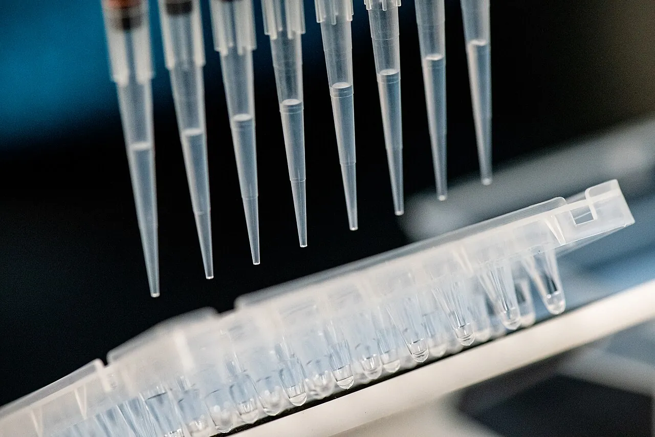 A scientist uses a pipette at a US Department of Agriculture bee lab in Baton Rouge, Louisiana