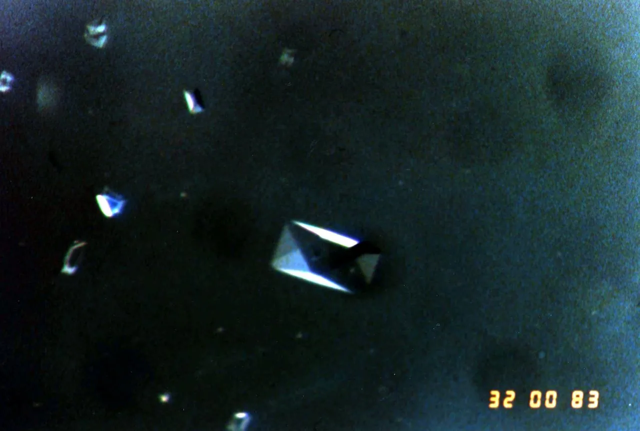 Microscope photo of small, clear rectangular protein crystals on a dark background