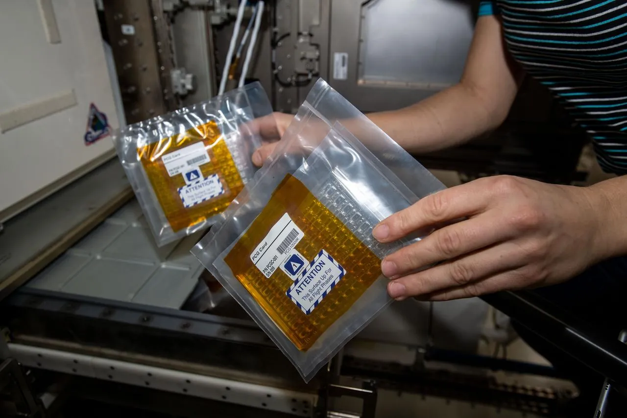 Two sealed bags holding orange protein crystal growth plates on the International Space Station