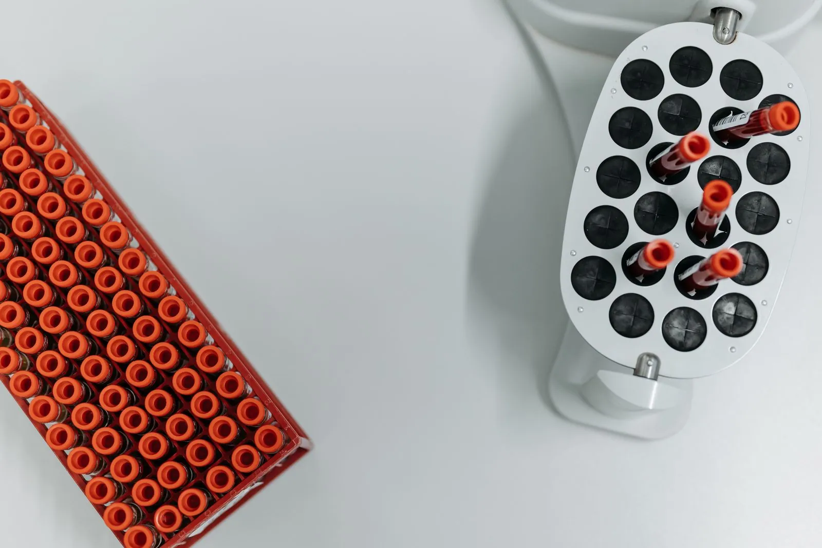 Blood sample tubes in a lab centrifuge, seen from above