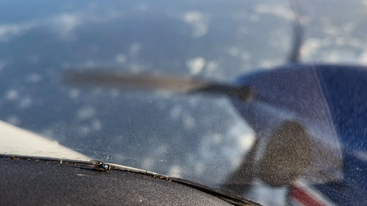 A sterile screwworm fly on a plane window high above Texas