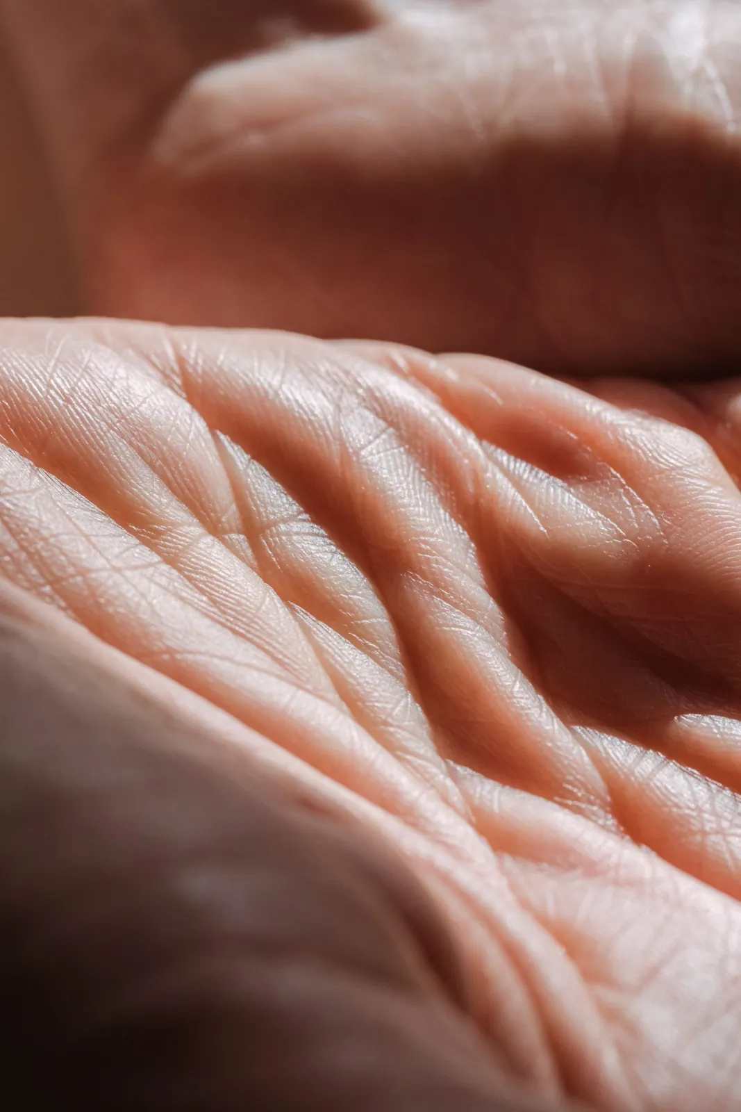 Close-up of a person’s open palms lit by bright sunshine